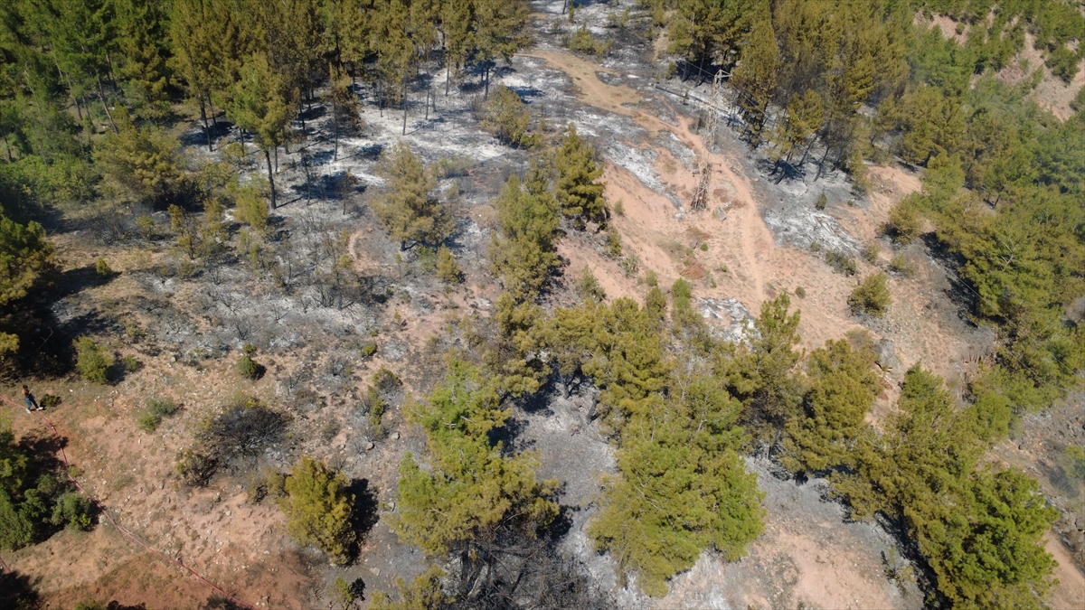 A A 20250625 38383963 38383961 K A R A B U K T E C I K A N O R M A N Y A N G I N I N A M U D A H A L E E D I L I Y O R