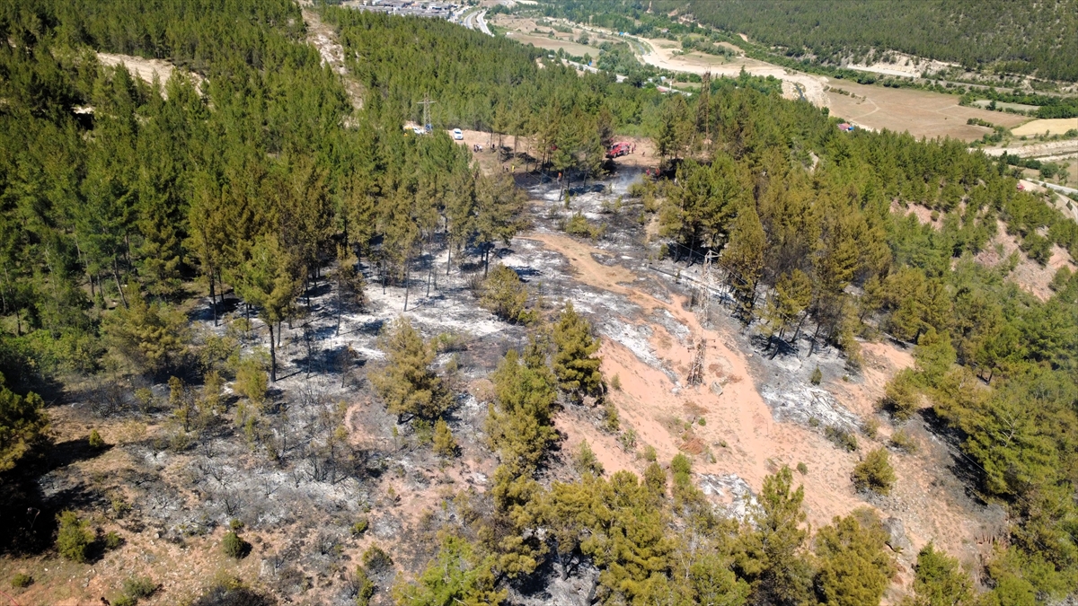 A A 20250625 38383963 38383962 K A R A B U K T E C I K A N O R M A N Y A N G I N I N A M U D A H A L E E D I L I Y O R