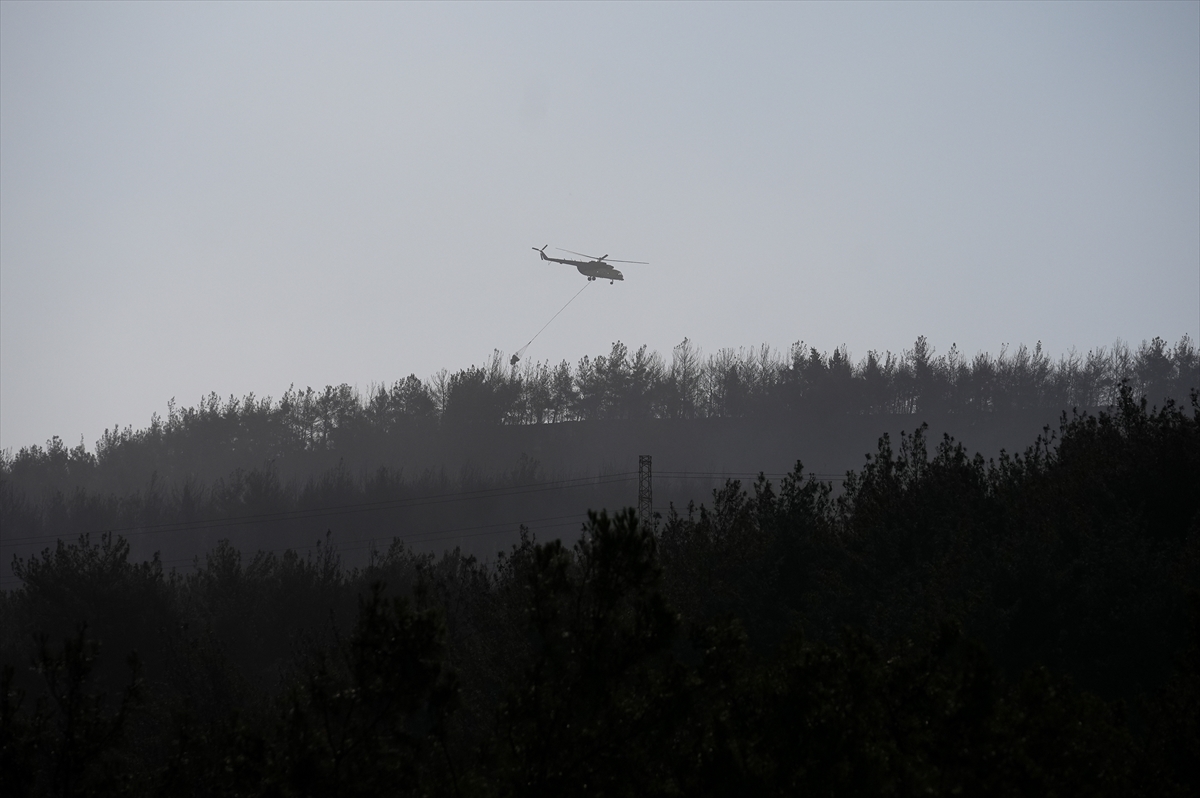 A A 20250626 38389943 38389929 I Z M I R I N A L I A G A I L C E S I N D E C I K A N O R M A N Y A N G I N I K O N T R O L A L T I N A A L I N M A Y A C A L I S I L I Y O R