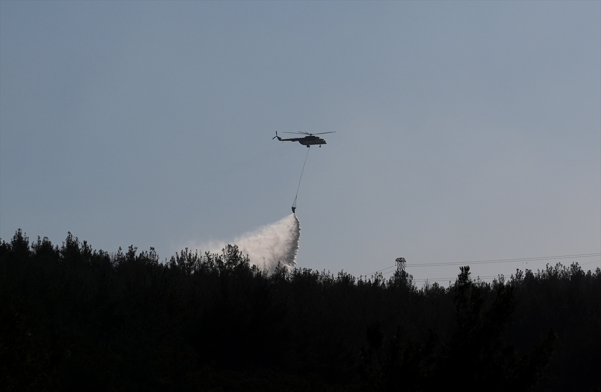 A A 20250626 38389943 38389930 I Z M I R I N A L I A G A I L C E S I N D E C I K A N O R M A N Y A N G I N I K O N T R O L A L T I N A A L I N M A Y A C A L I S I L I Y O R