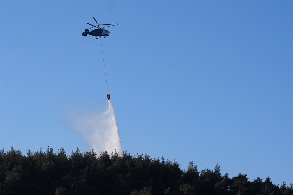 A A 20250626 38389943 38389940 I Z M I R I N A L I A G A I L C E S I N D E C I K A N O R M A N Y A N G I N I K O N T R O L A L T I N A A L I N M A Y A C A L I S I L I Y O R