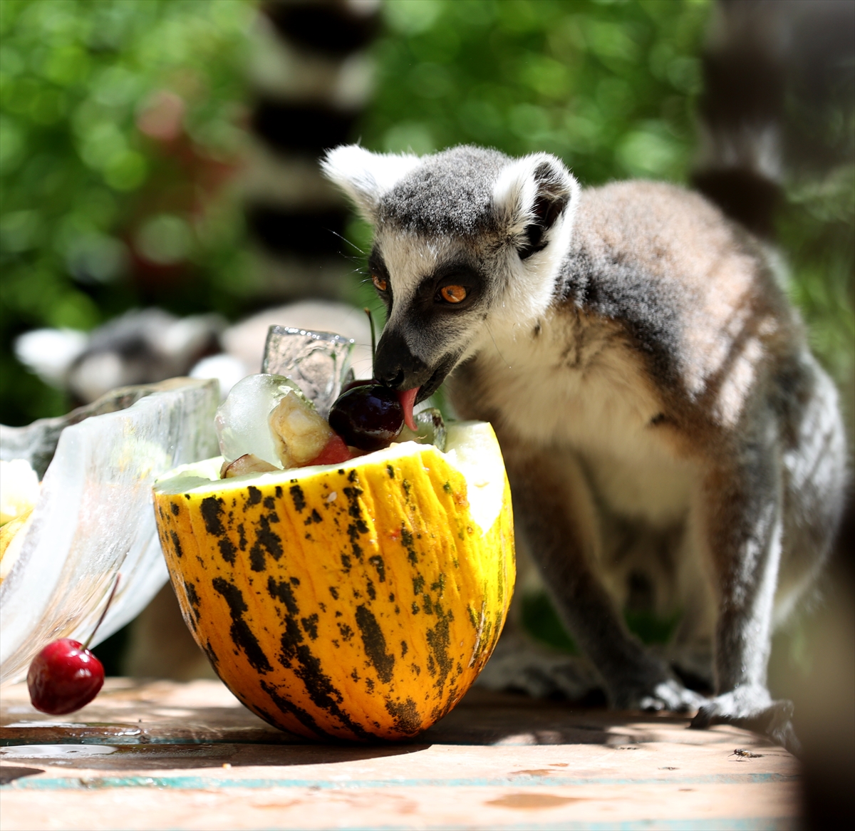 A A 20250626 38392914 38392887 A N T A L Y A D O G A L Y A S A M P A R K I S A K I N L E R I B U Z L U M E Y V E K O K T E Y L I I L E S E R I N L I Y O R