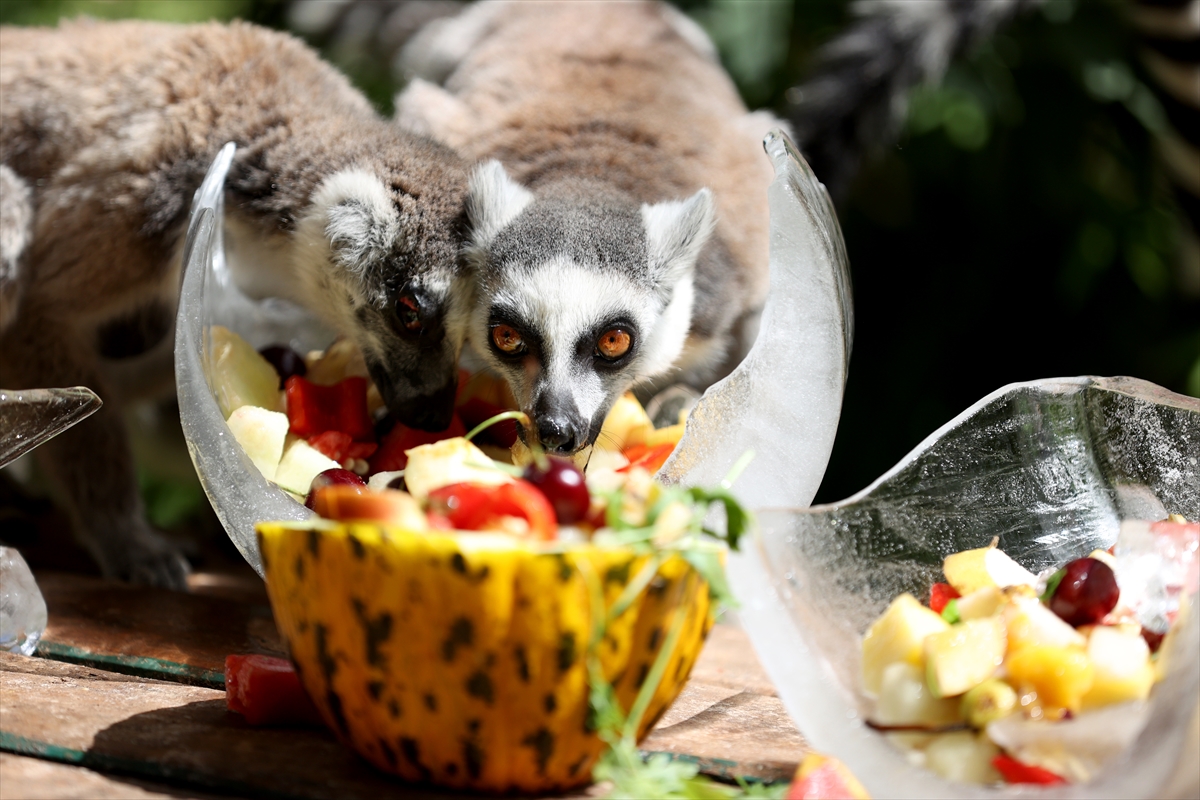 A A 20250626 38392914 38392891 A N T A L Y A D O G A L Y A S A M P A R K I S A K I N L E R I B U Z L U M E Y V E K O K T E Y L I I L E S E R I N L I Y O R