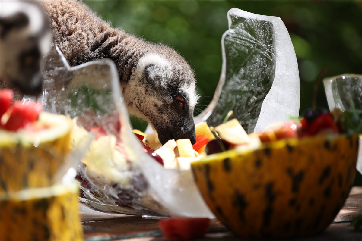 A A 20250626 38392914 38392892 A N T A L Y A D O G A L Y A S A M P A R K I S A K I N L E R I B U Z L U M E Y V E K O K T E Y L I I L E S E R I N L I Y O R