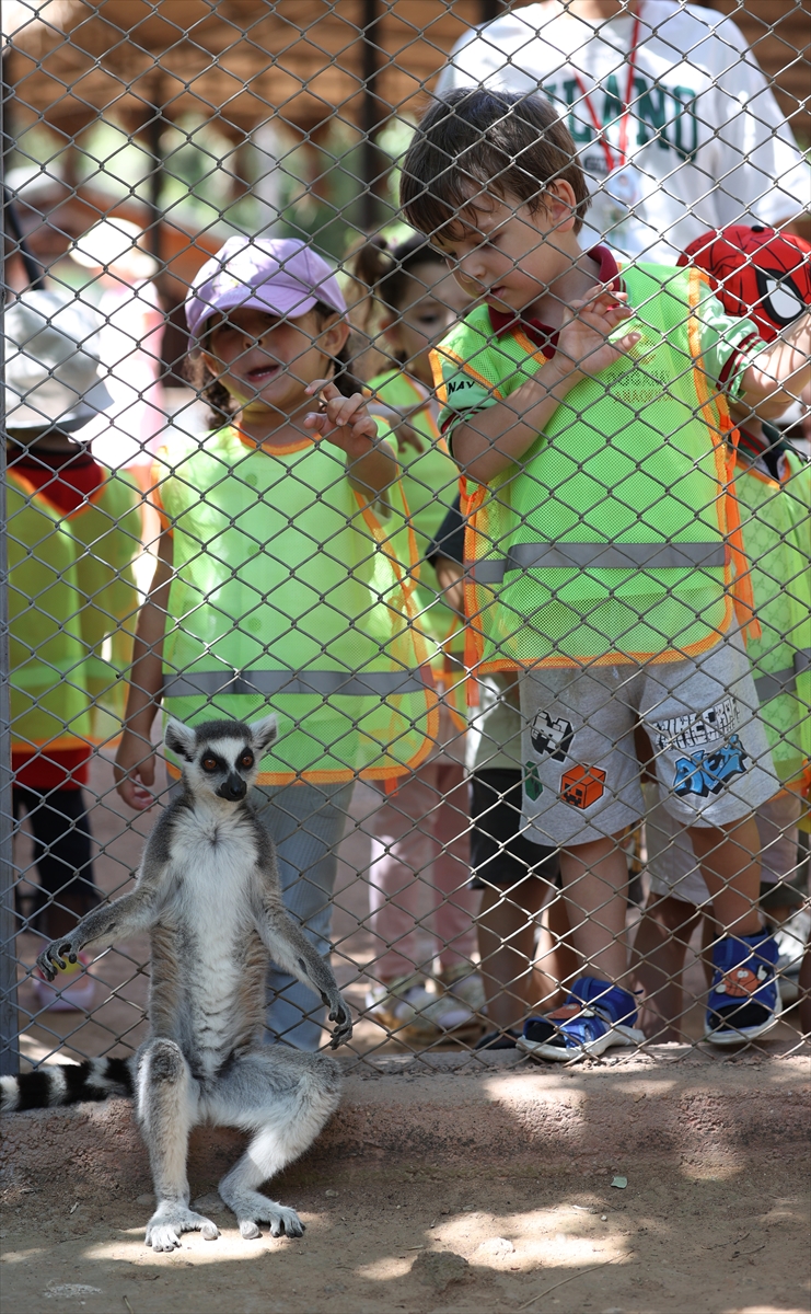 A A 20250626 38392914 38392899 A N T A L Y A D O G A L Y A S A M P A R K I S A K I N L E R I B U Z L U M E Y V E K O K T E Y L I I L E S E R I N L I Y O R