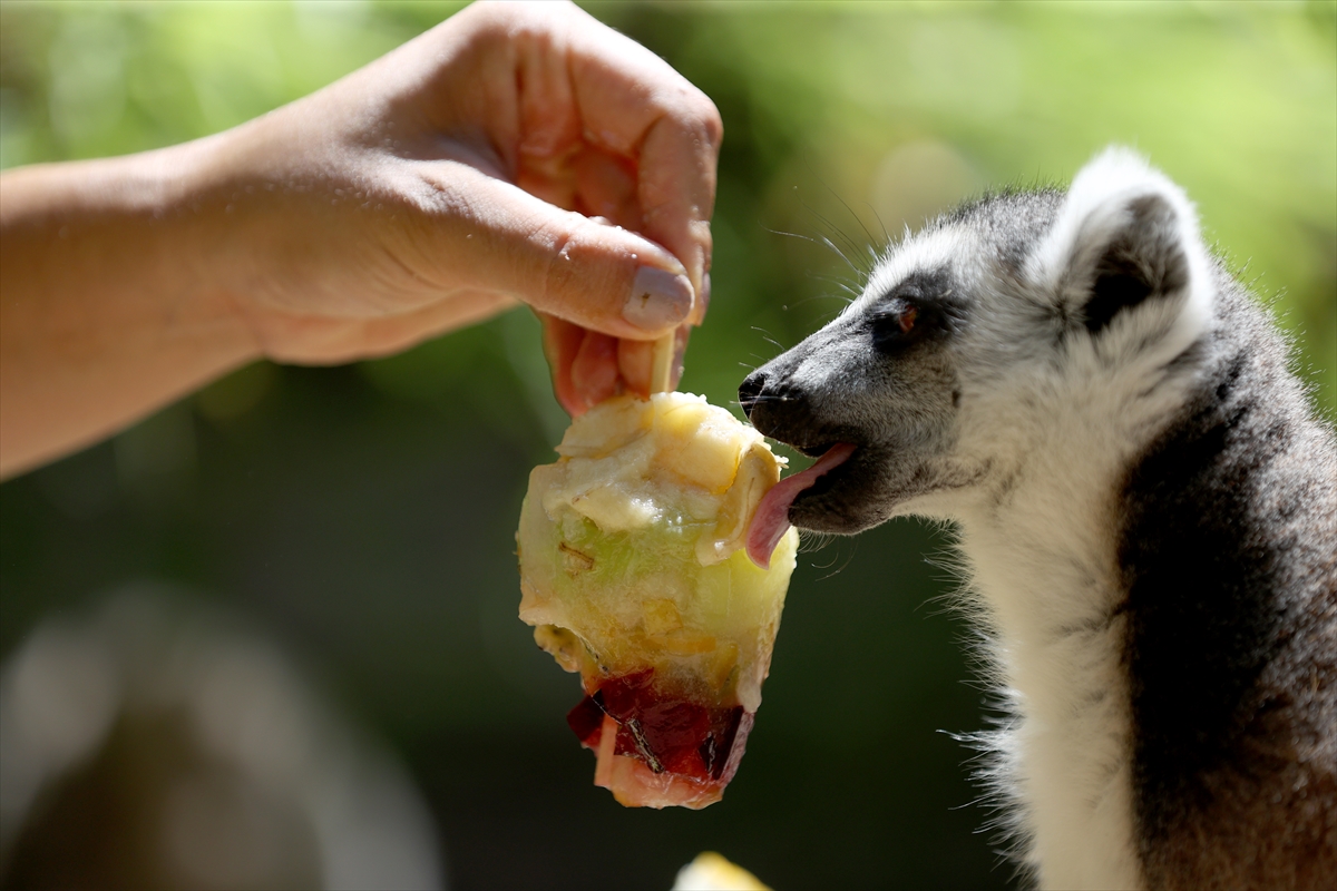 A A 20250626 38392914 38392901 A N T A L Y A D O G A L Y A S A M P A R K I S A K I N L E R I B U Z L U M E Y V E K O K T E Y L I I L E S E R I N L I Y O R