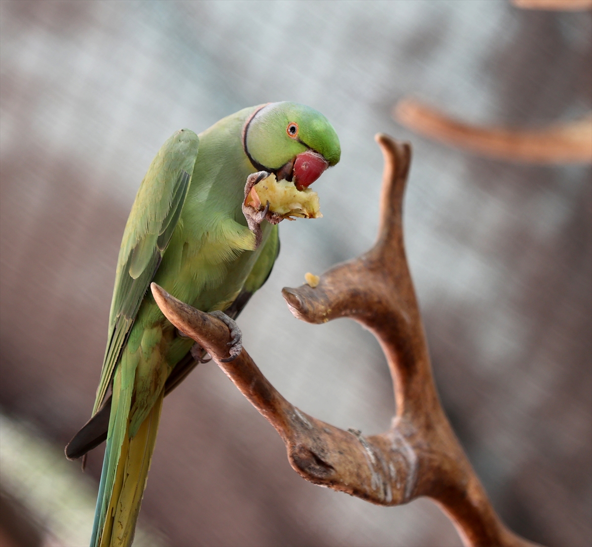 A A 20250626 38392914 38392903 A N T A L Y A D O G A L Y A S A M P A R K I S A K I N L E R I B U Z L U M E Y V E K O K T E Y L I I L E S E R I N L I Y O R