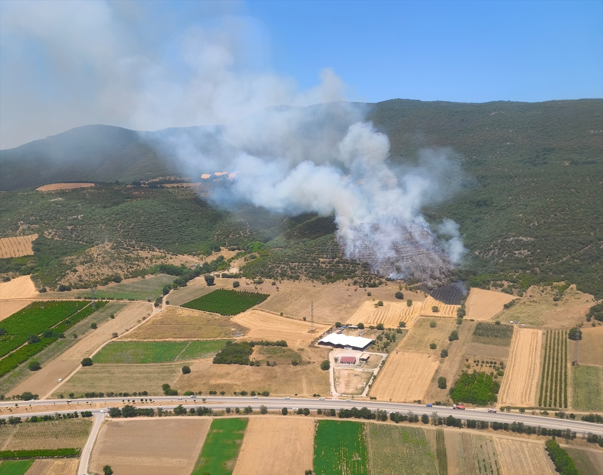 A A 20250626 38393103 38393101 B U R S A D A C I K A N O R M A N Y A N G I N I N A M U D A H A L E E D I L I Y O R