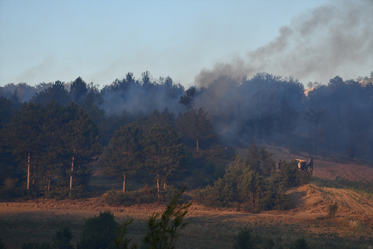 A A 20250627 38400504 38400498 B I L E C I K T E C I K A N O R M A N Y A N G I N I K O N T R O L A L T I N A A L I N D I