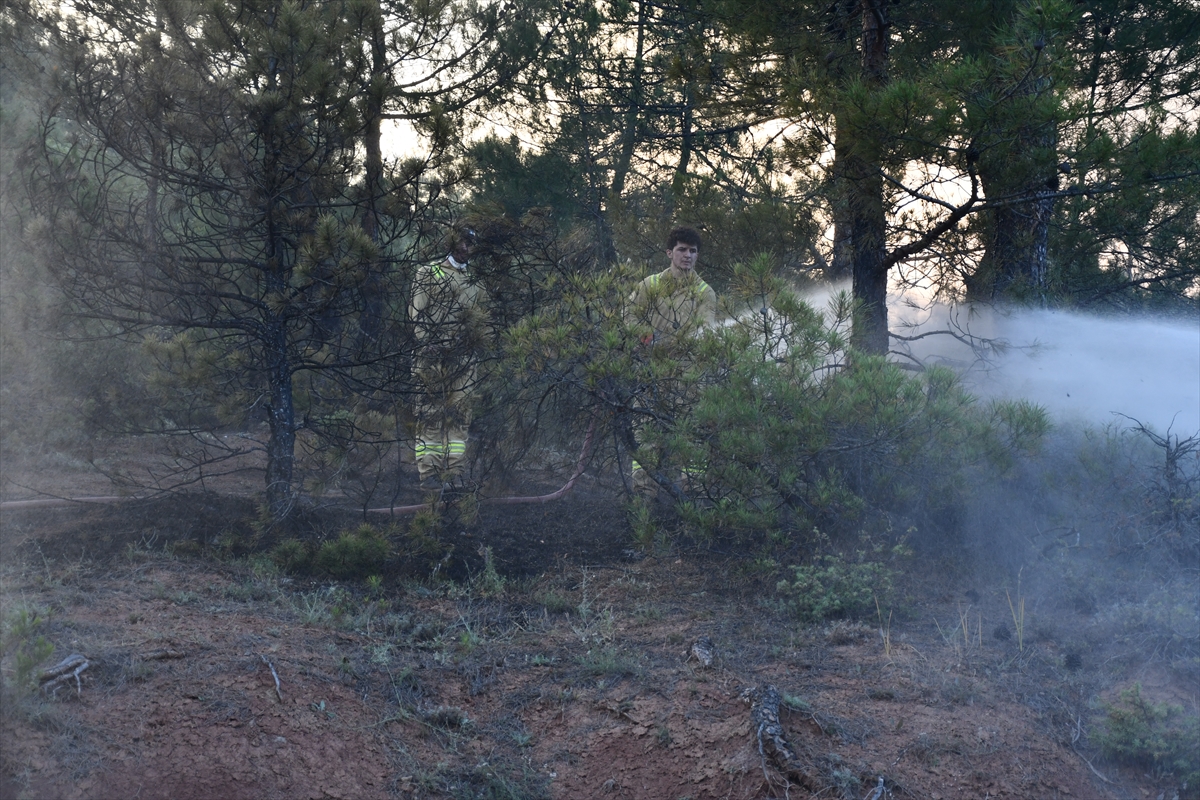 A A 20250627 38400504 38400501 B I L E C I K T E C I K A N O R M A N Y A N G I N I K O N T R O L A L T I N A A L I N D I