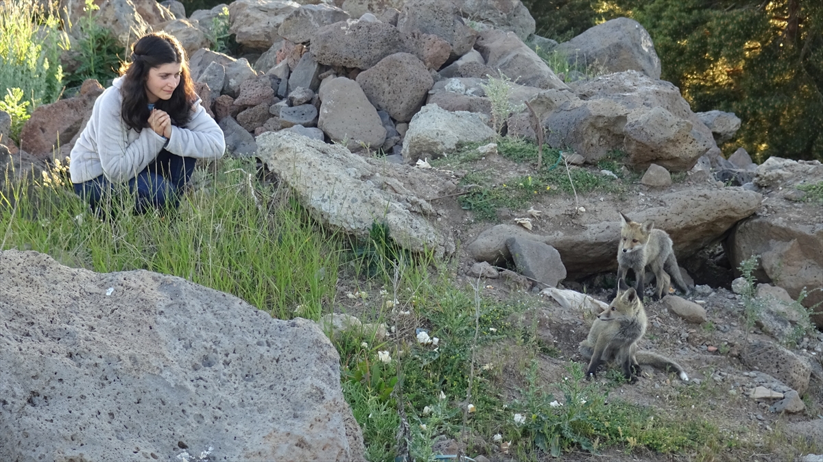 A A 20250627 38401302 38401290 K A R S T A Y U V A L A R I N D A N C I K A N K I Z I L T I L K I Y A V R U L A R I N I D O G A S E V E R L E R B E S L E D I