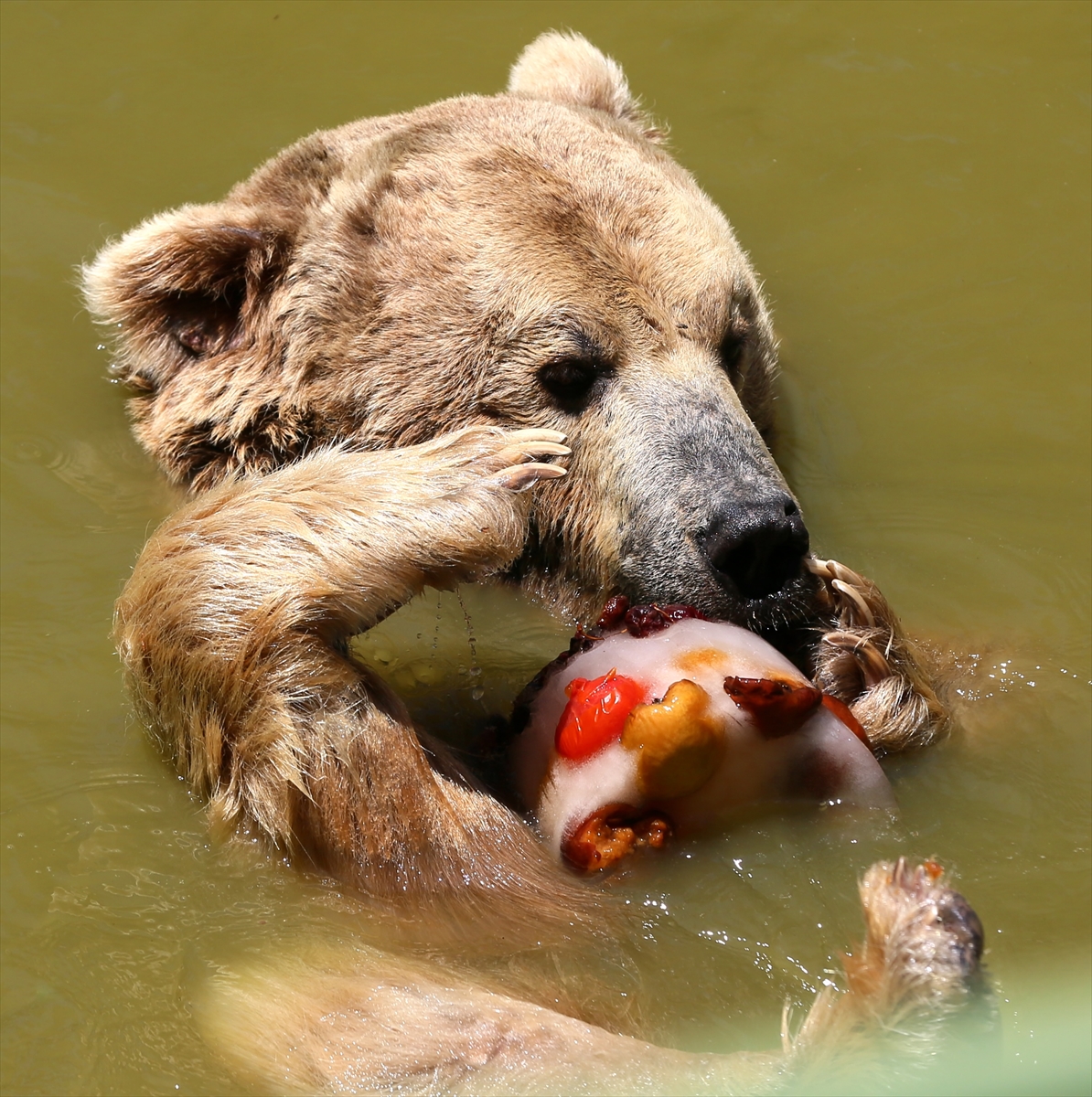 A A 20250628 38412242 38412229 G A Z I A N T E P H A Y V A N A T B A H C E S I S A K I N L E R I B U Z L U K O K T E Y L L E R L E S E R I N L I Y O R