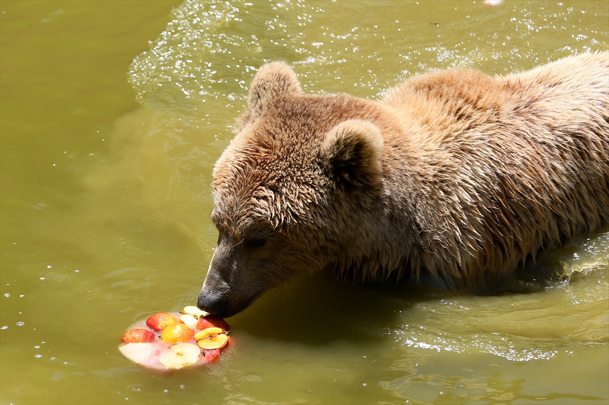 A A 20250628 38412242 38412230 G A Z I A N T E P H A Y V A N A T B A H C E S I S A K I N L E R I B U Z L U K O K T E Y L L E R L E S E R I N L I Y O R