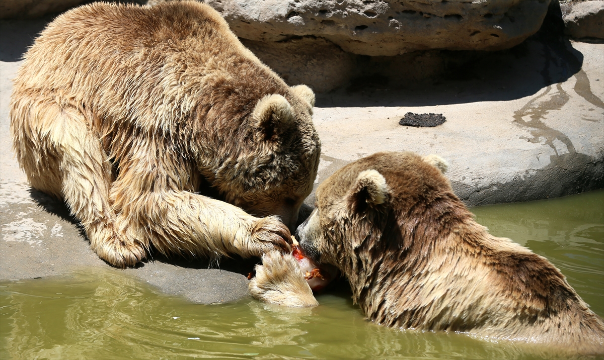 A A 20250628 38412242 38412233 G A Z I A N T E P H A Y V A N A T B A H C E S I S A K I N L E R I B U Z L U K O K T E Y L L E R L E S E R I N L I Y O R