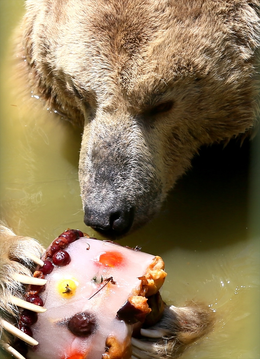 A A 20250628 38412242 38412234 G A Z I A N T E P H A Y V A N A T B A H C E S I S A K I N L E R I B U Z L U K O K T E Y L L E R L E S E R I N L I Y O R