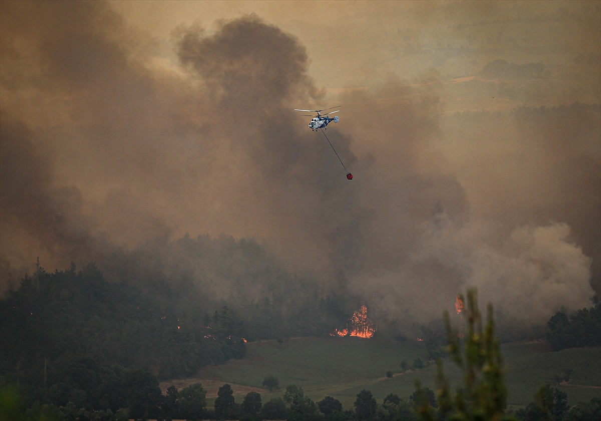 A A 20250628 38412269 38412263 S A K A R Y A D A O R M A N L I K A L A N D A B A S L A Y I P B I L E C I K T A R A F I N A S I C R A Y A N Y A N G I N A M U D A H A L E S U R U Y O R