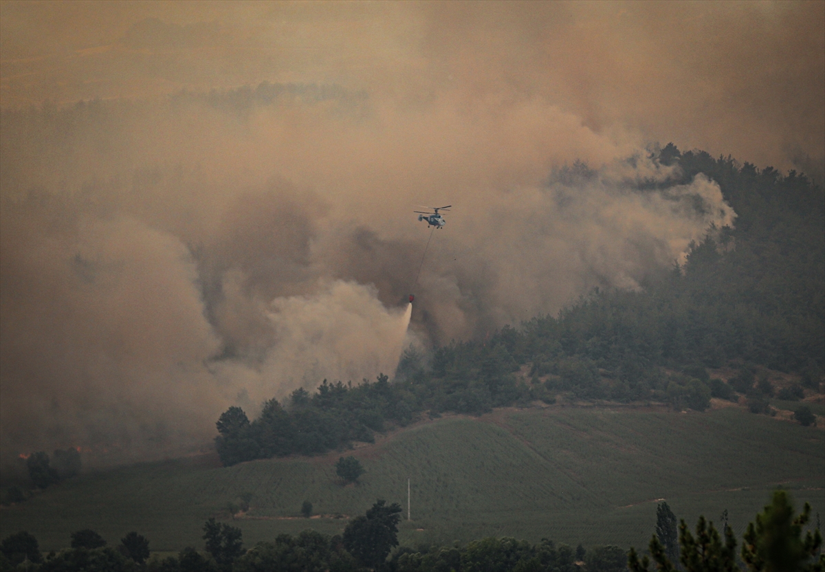 A A 20250628 38412269 38412268 S A K A R Y A D A O R M A N L I K A L A N D A B A S L A Y I P B I L E C I K T A R A F I N A S I C R A Y A N Y A N G I N A M U D A H A L E S U R U Y O R