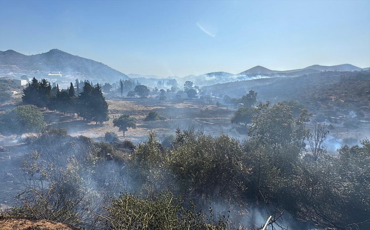 A A 20250628 38412983 38412979 B O D R U M D A M A K I L I K A L A N D A C I K A N V E R U Z G A R L A Y A Y I L A N Y A N G I N A M U D A H A L E E D I L I Y O R