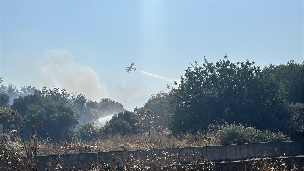 A A 20250628 38412983 38412980 B O D R U M D A M A K I L I K A L A N D A C I K A N V E R U Z G A R L A Y A Y I L A N Y A N G I N A M U D A H A L E E D I L I Y O R