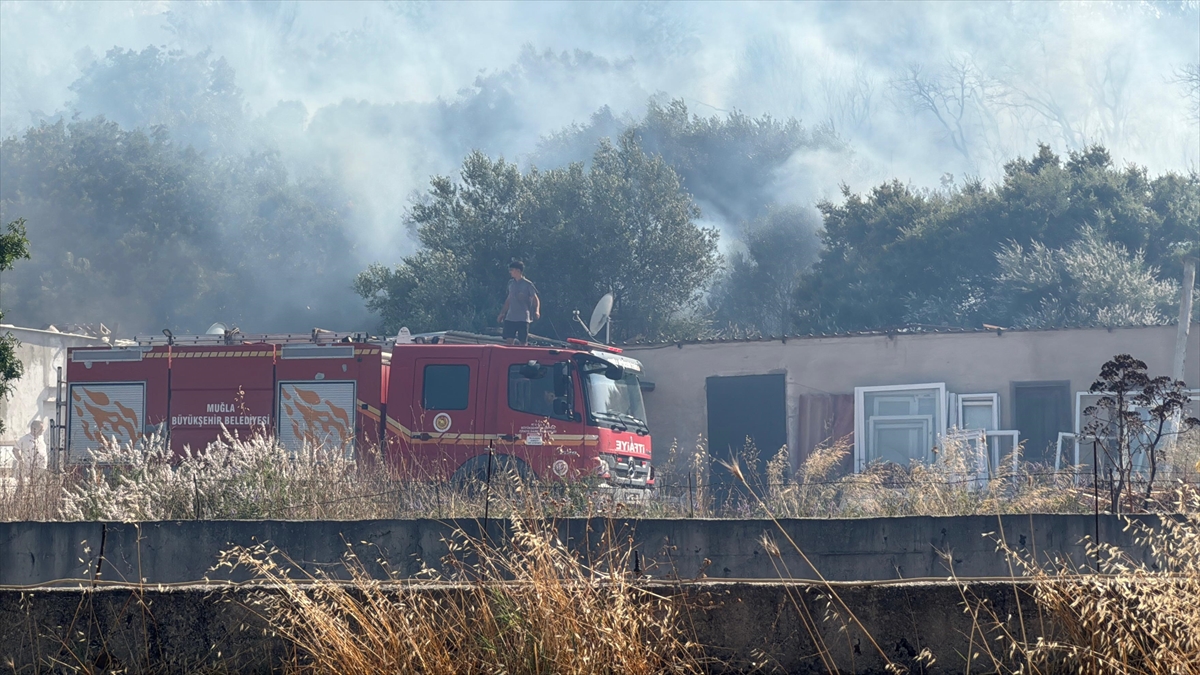 A A 20250628 38412983 38412981 B O D R U M D A M A K I L I K A L A N D A C I K A N V E R U Z G A R L A Y A Y I L A N Y A N G I N A M U D A H A L E E D I L I Y O R