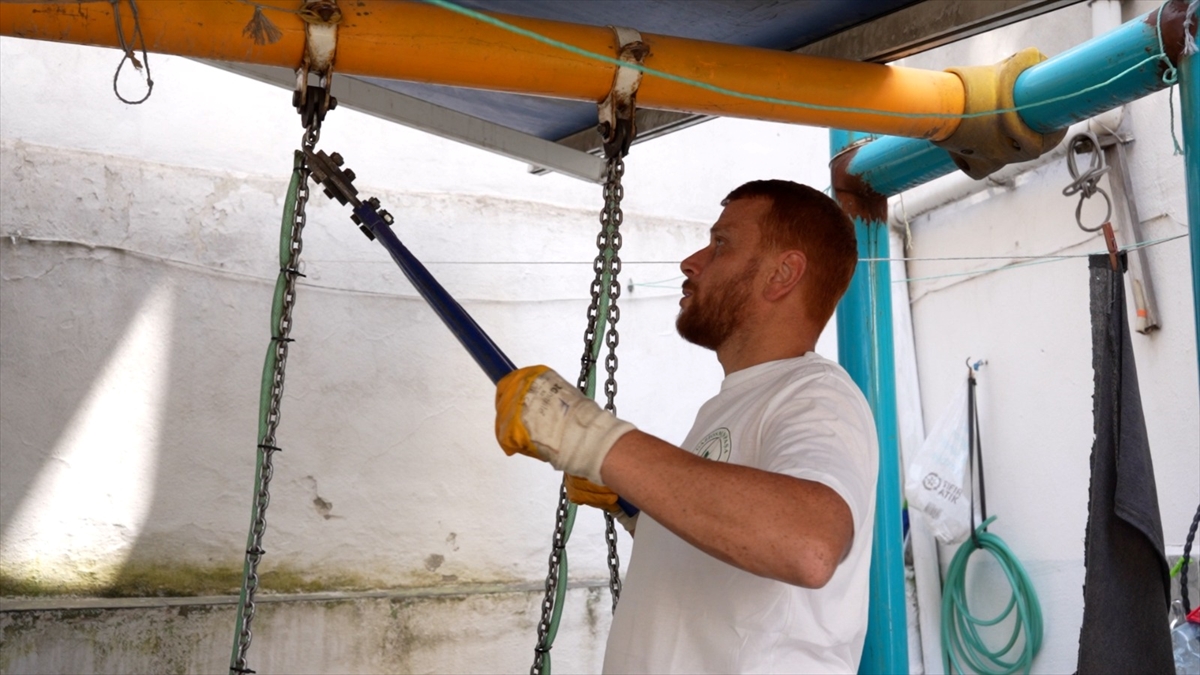 A A 20250628 38413741 38413739 G A Z I O S M A N P A S A D A P A R K A G I D E M E Y E N O Z E L C O C U G U N E V I N I N B A H C E S I N E S A L I N C A K K U R U L D U