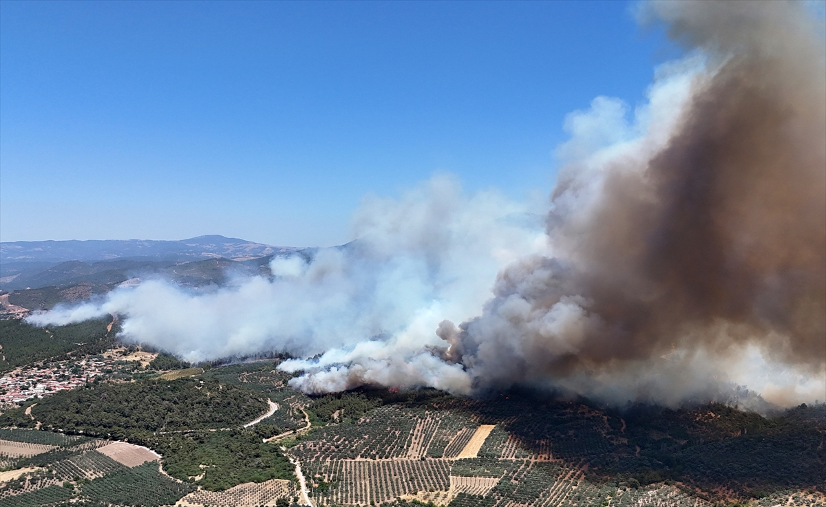 A A 20250628 38414112 38414110 M A N I S A N I N A K H I S A R I L C E S I N D E O R M A N Y A N G I N I C I K T I