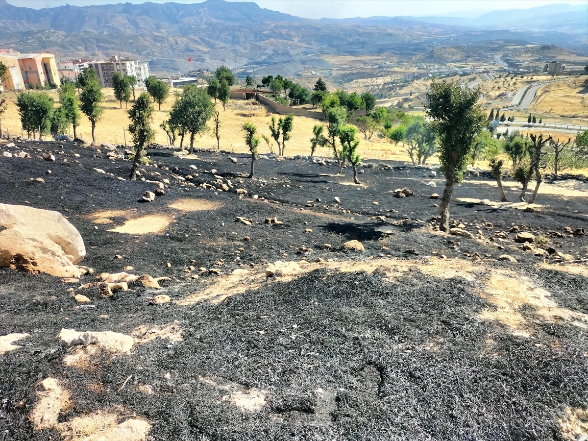 A A 20250628 38414341 38414339 S I R N A K T A C I K A N A N I Z Y A N G I N I S O N D U R U L D U