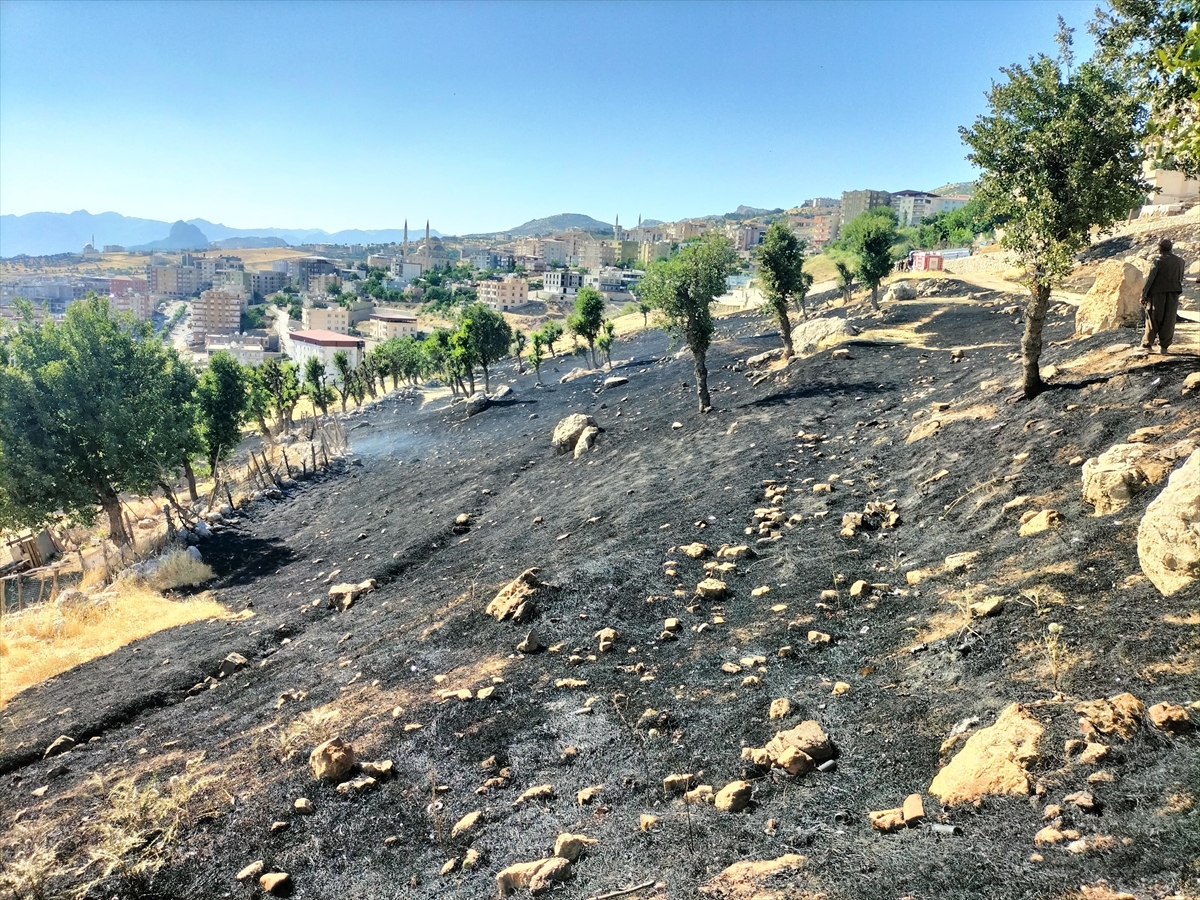 A A 20250628 38414341 38414340 S I R N A K T A C I K A N A N I Z Y A N G I N I S O N D U R U L D U