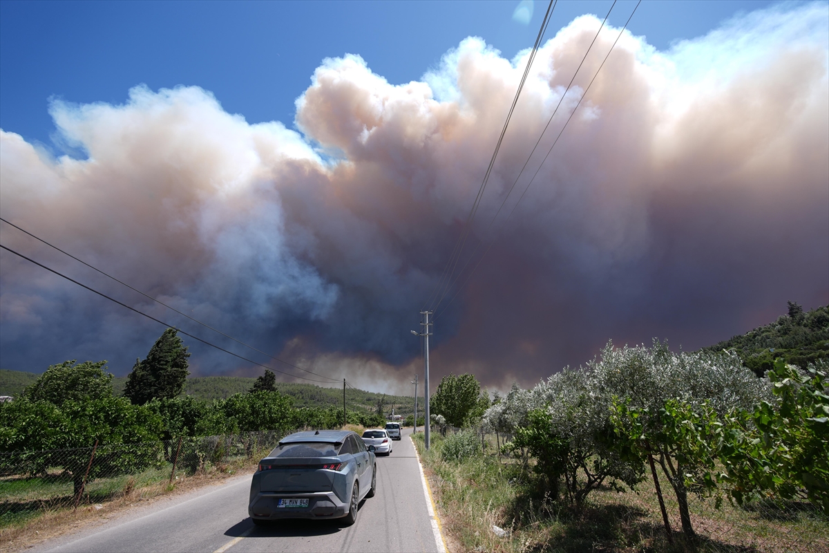 A A 20250629 38419508 38419507 I Z M I R I N M E N D E R E S V E S E F E R I H I S A R I L C E L E R I A R A S I N D A O R M A N Y A N G I N I C I K T I