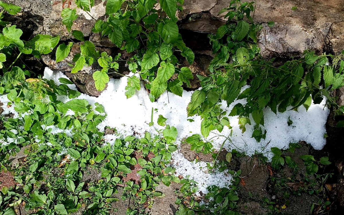 A A 20250630 38430596 38430591 K A R S T A K U V V E T L I S A G A N A K V E D O L U E T K I L I O L D U