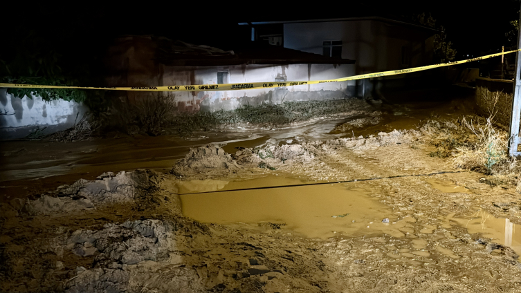 Aa Picture 20250602 38157488