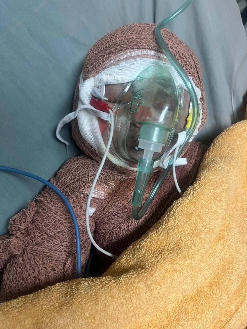 Photo 2025 06 14 14 22 52