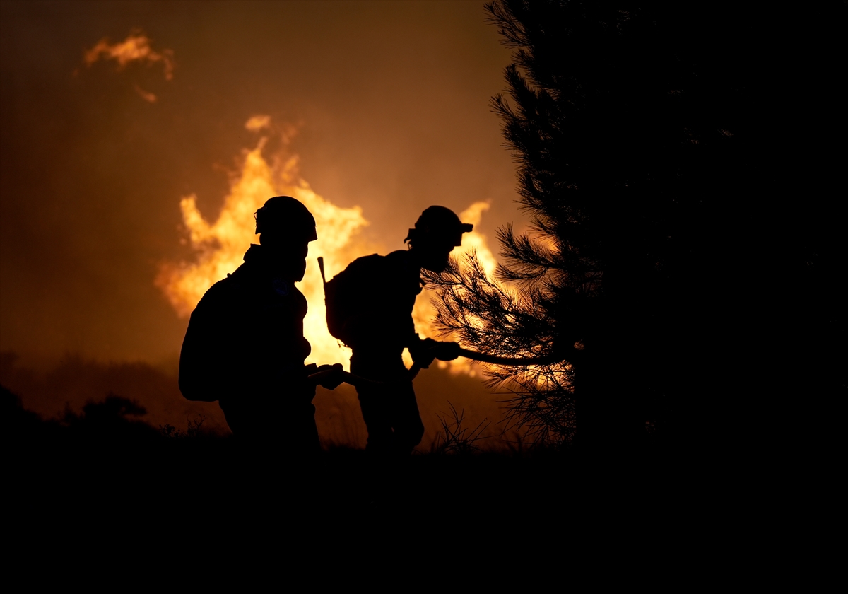 A A 20250702 38453432 38453409 C E S M E D E Z I R A A T A L A N I N D A B A S L A Y I P O R M A N A S I C R A Y A N Y A N G I N A M U D A H A L E E D I L I Y O R