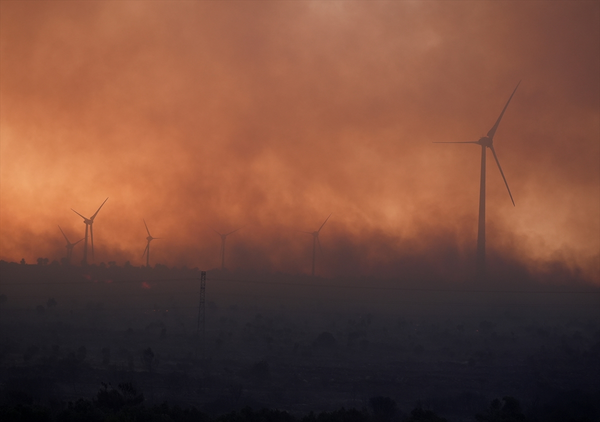 A A 20250702 38453432 38453411 C E S M E D E Z I R A A T A L A N I N D A B A S L A Y I P O R M A N A S I C R A Y A N Y A N G I N A M U D A H A L E E D I L I Y O R