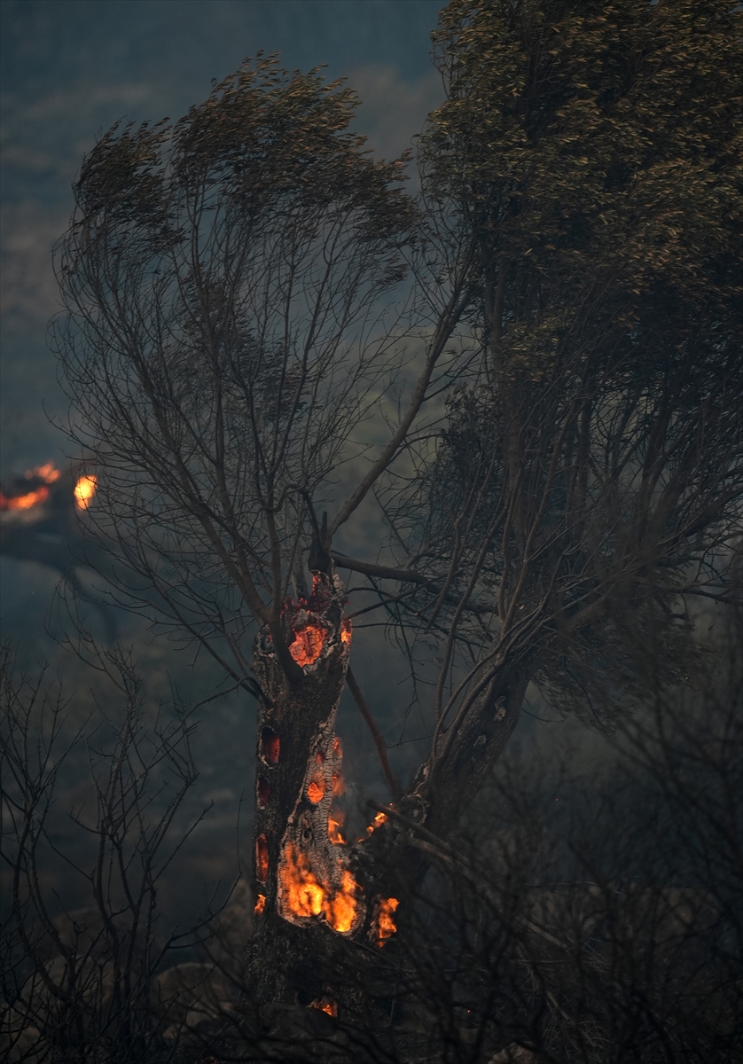 A A 20250702 38453432 38453412 C E S M E D E Z I R A A T A L A N I N D A B A S L A Y I P O R M A N A S I C R A Y A N Y A N G I N A M U D A H A L E E D I L I Y O R