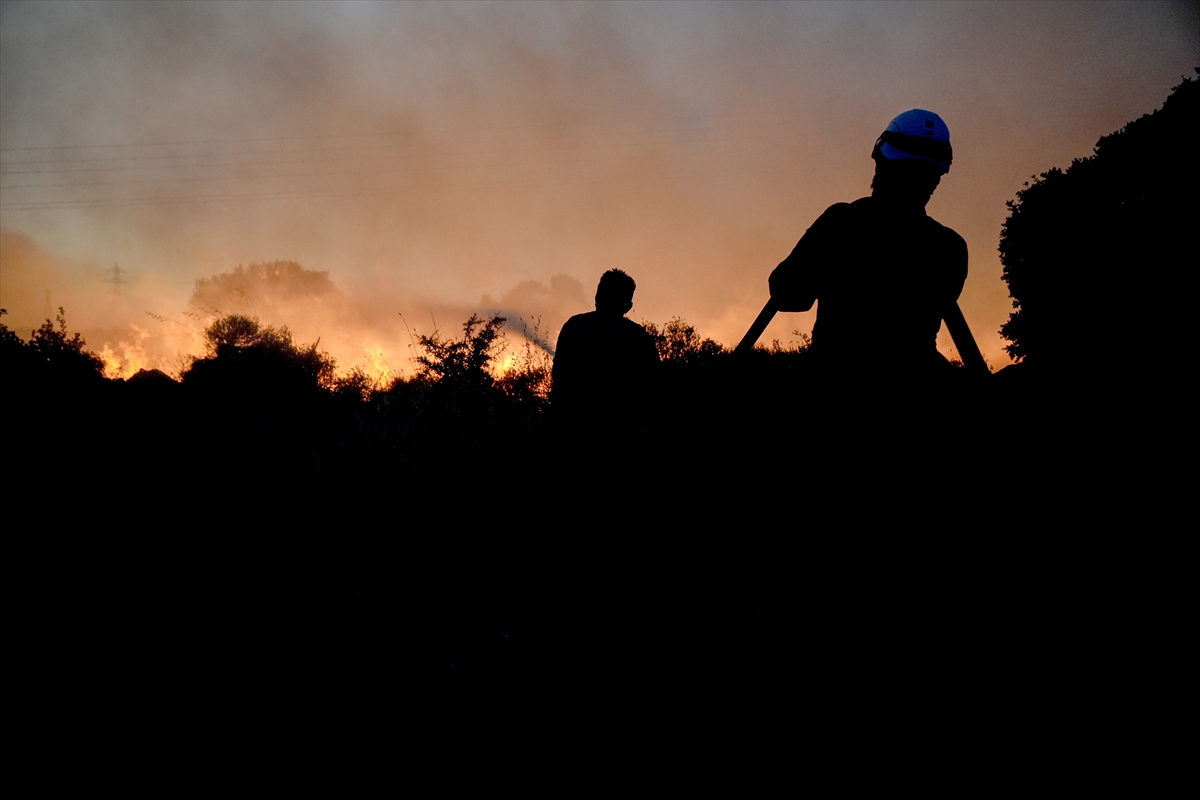 A A 20250702 38453432 38453424 C E S M E D E Z I R A A T A L A N I N D A B A S L A Y I P O R M A N A S I C R A Y A N Y A N G I N A M U D A H A L E E D I L I Y O R