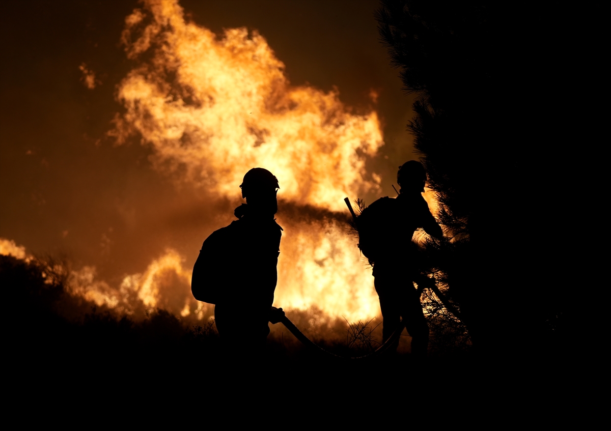 A A 20250702 38453432 38453427 C E S M E D E Z I R A A T A L A N I N D A B A S L A Y I P O R M A N A S I C R A Y A N Y A N G I N A M U D A H A L E E D I L I Y O R