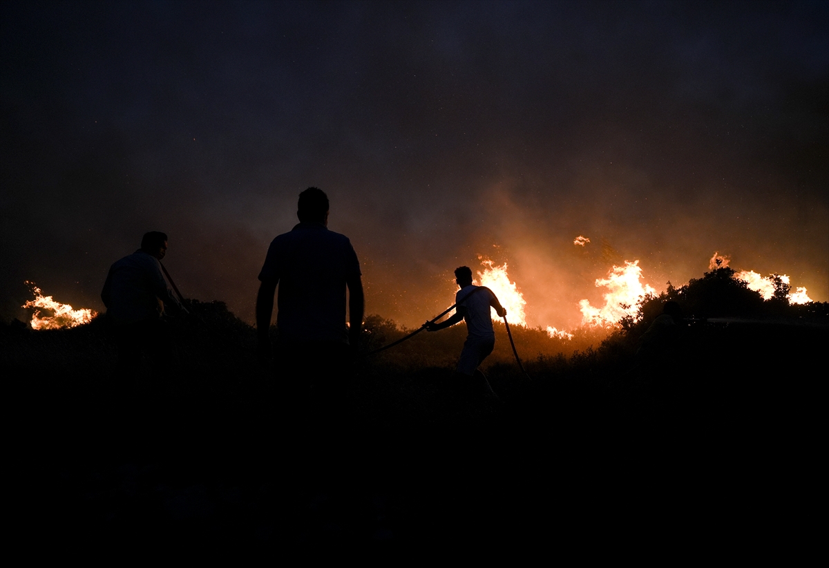 A A 20250702 38453432 38453429 C E S M E D E Z I R A A T A L A N I N D A B A S L A Y I P O R M A N A S I C R A Y A N Y A N G I N A M U D A H A L E E D I L I Y O R