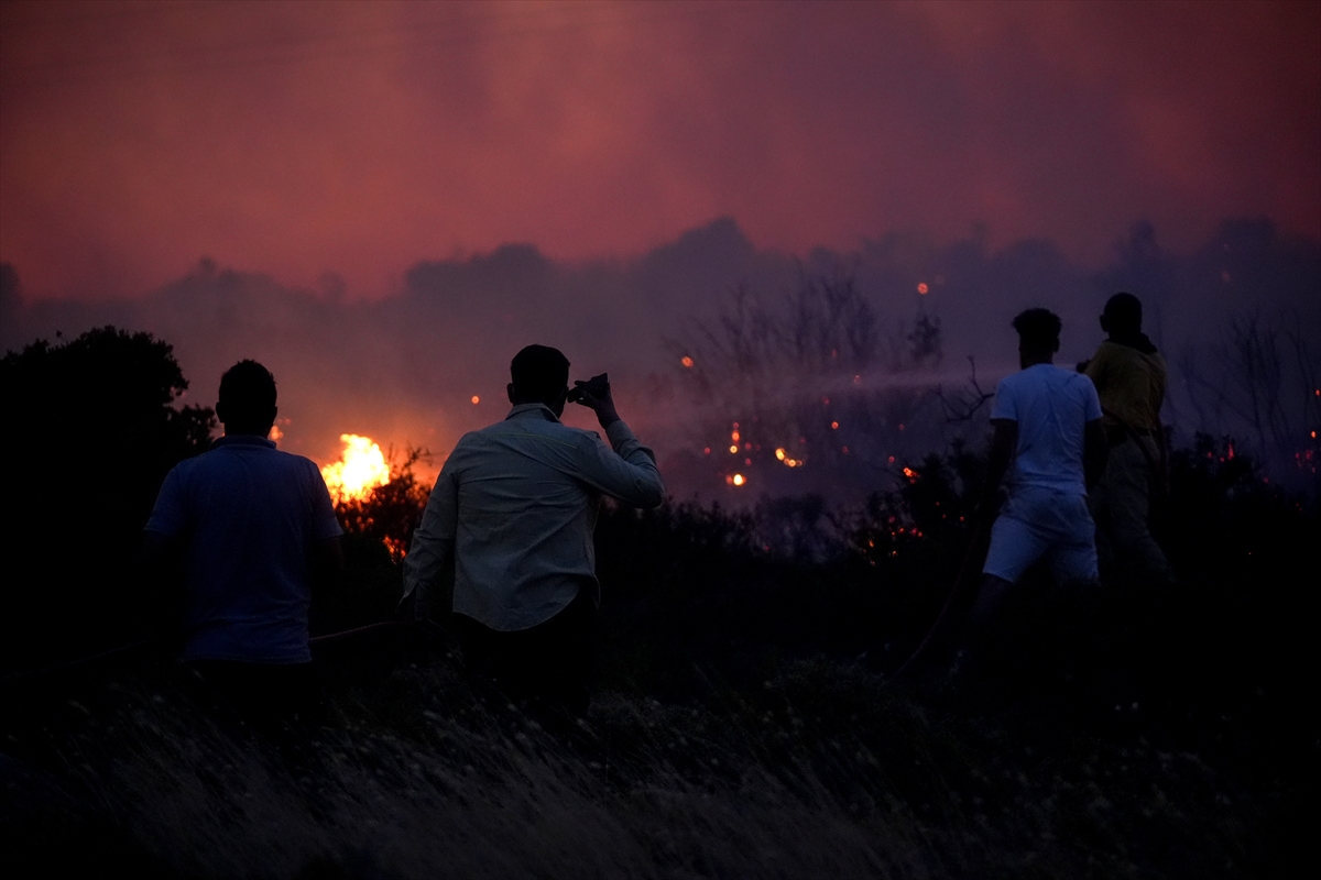 A A 20250702 38453432 38453430 C E S M E D E Z I R A A T A L A N I N D A B A S L A Y I P O R M A N A S I C R A Y A N Y A N G I N A M U D A H A L E E D I L I Y O R