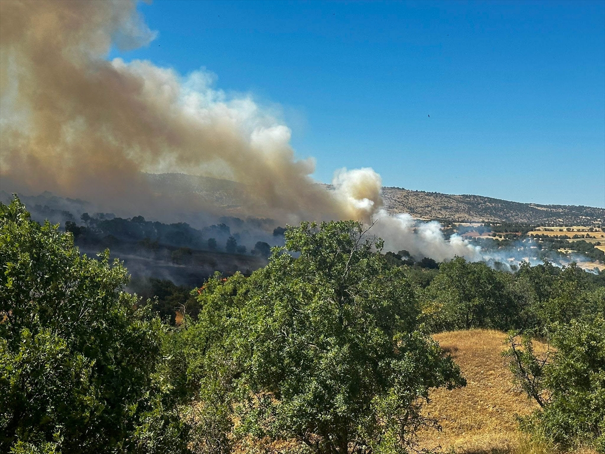 A A 20250703 38461960 38461951 U S A K T A T A R I M A R A Z I S I N D E B A S L A Y I P M E S E L I K A L A N A S I C R A Y A N Y A N G I N A M U D A H A L E E D I L I Y O R