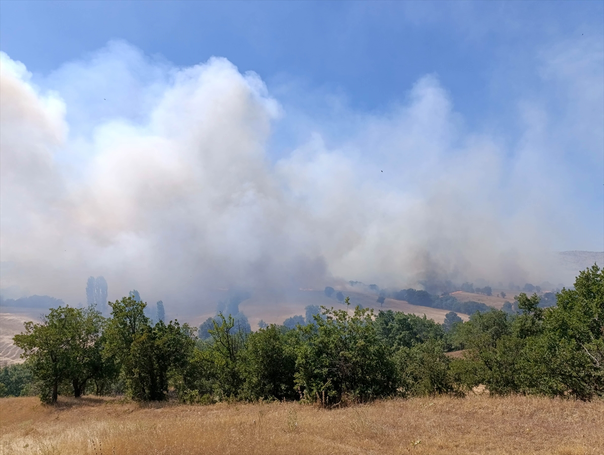 A A 20250703 38461960 38461952 U S A K T A T A R I M A R A Z I S I N D E B A S L A Y I P M E S E L I K A L A N A S I C R A Y A N Y A N G I N A M U D A H A L E E D I L I Y O R