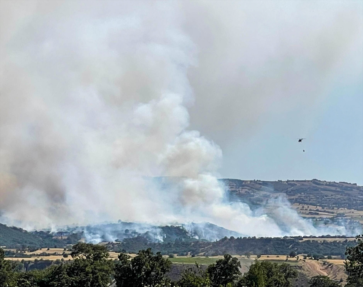 A A 20250703 38461960 38461953 U S A K T A T A R I M A R A Z I S I N D E B A S L A Y I P M E S E L I K A L A N A S I C R A Y A N Y A N G I N A M U D A H A L E E D I L I Y O R