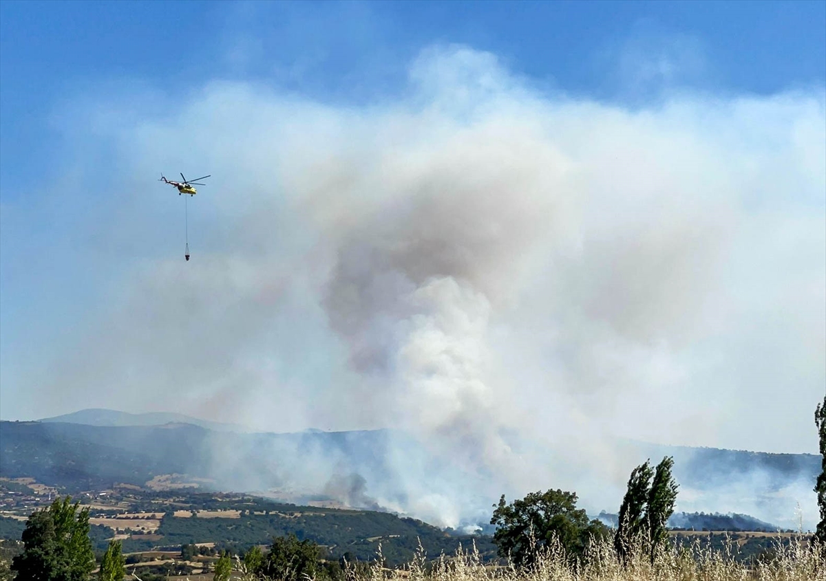 A A 20250703 38461960 38461954 U S A K T A T A R I M A R A Z I S I N D E B A S L A Y I P M E S E L I K A L A N A S I C R A Y A N Y A N G I N A M U D A H A L E E D I L I Y O R