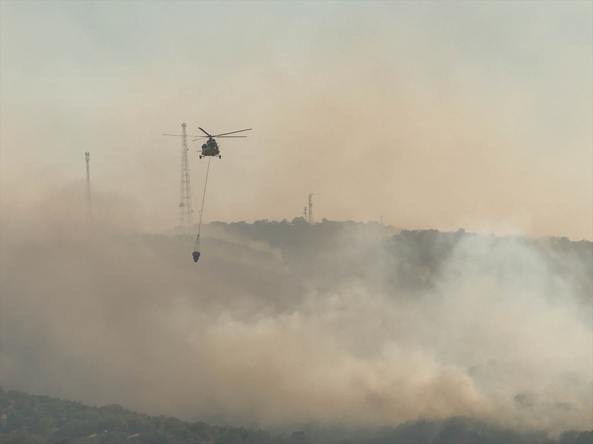 A A 20250703 38461960 38461955 U S A K T A T A R I M A R A Z I S I N D E B A S L A Y I P M E S E L I K A L A N A S I C R A Y A N Y A N G I N A M U D A H A L E E D I L I Y O R