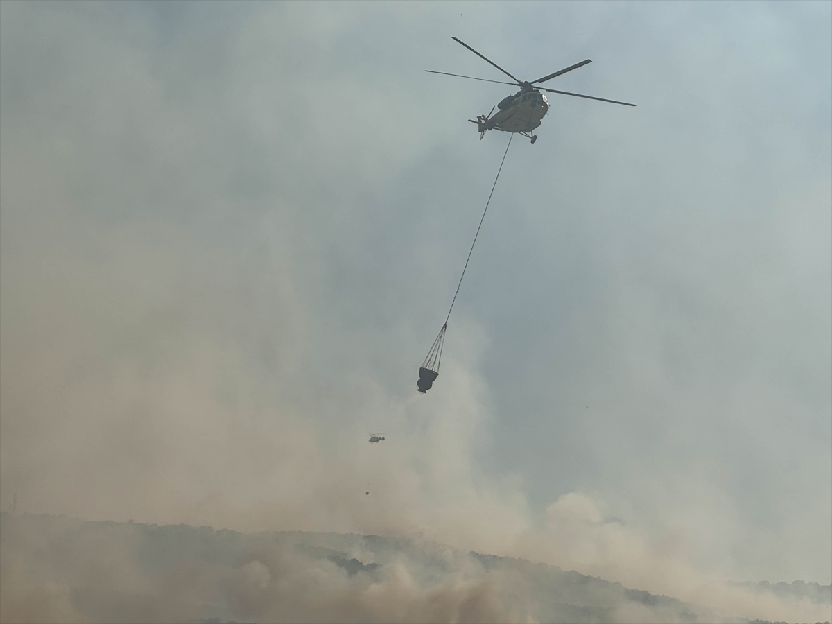 A A 20250703 38461960 38461956 U S A K T A T A R I M A R A Z I S I N D E B A S L A Y I P M E S E L I K A L A N A S I C R A Y A N Y A N G I N A M U D A H A L E E D I L I Y O R