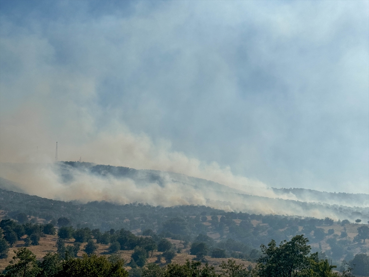 A A 20250703 38461960 38461958 U S A K T A T A R I M A R A Z I S I N D E B A S L A Y I P M E S E L I K A L A N A S I C R A Y A N Y A N G I N A M U D A H A L E E D I L I Y O R