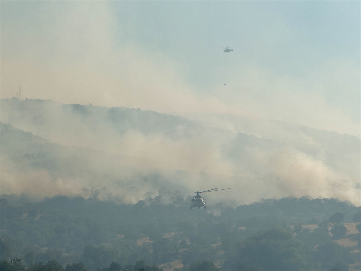 A A 20250703 38461960 38461959 U S A K T A T A R I M A R A Z I S I N D E B A S L A Y I P M E S E L I K A L A N A S I C R A Y A N Y A N G I N A M U D A H A L E E D I L I Y O R