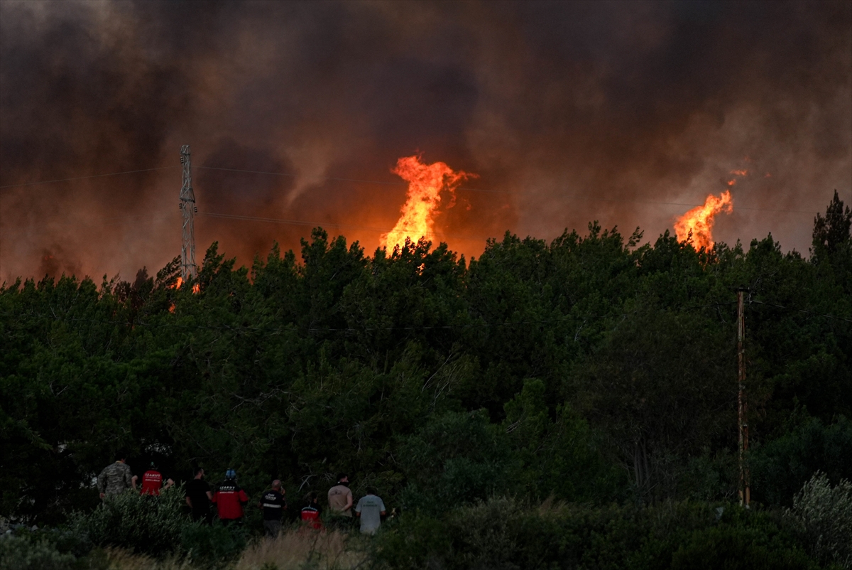 A A 20250703 38463410 38463396 I Z M I R I N C E S M E I L C E S I N D E C I K A N O R M A N Y A N G I N I N A M U D A H A L E S U R U Y O R