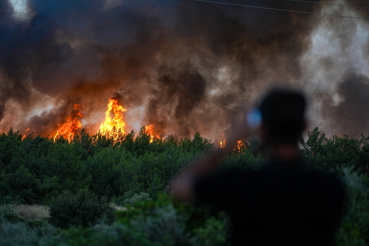 A A 20250703 38463410 38463397 I Z M I R I N C E S M E I L C E S I N D E C I K A N O R M A N Y A N G I N I N A M U D A H A L E S U R U Y O R