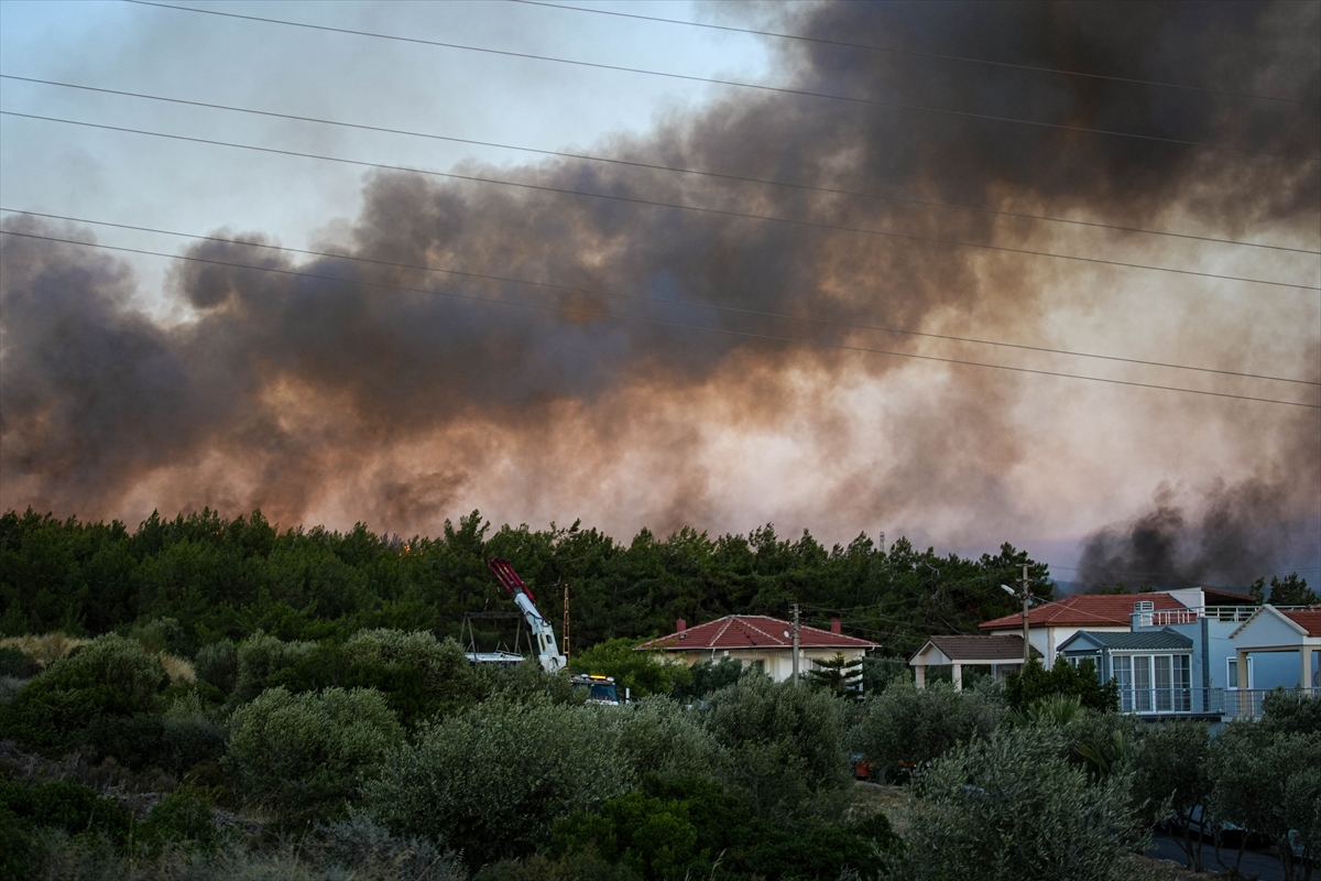 A A 20250703 38463410 38463398 I Z M I R I N C E S M E I L C E S I N D E C I K A N O R M A N Y A N G I N I N A M U D A H A L E S U R U Y O R